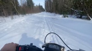 Progasi smart max 150  выехали в лес.