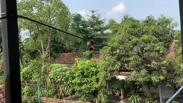TERNYATA MURAH DAN MUDAH!!!MEMBUAT MISTING KABUT/EMBUN BUATAN DI RUMAH смотреть онлайн
