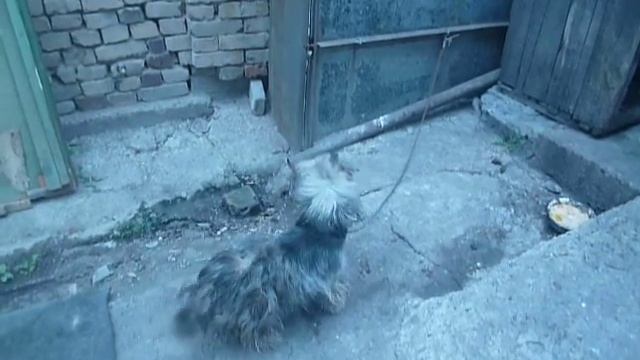 Ixtiyor Ангрен Сити смотреть онлайн