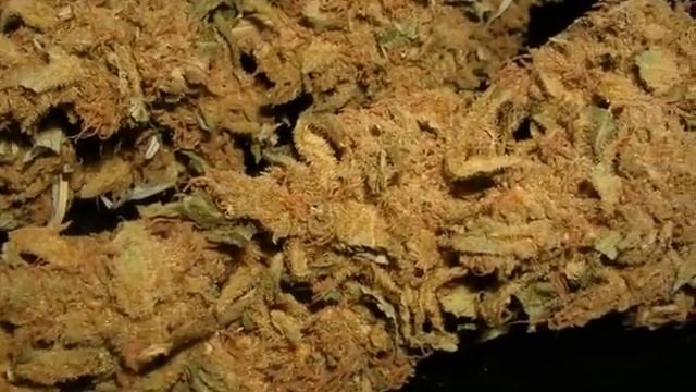 Black Jack смотреть онлайн
