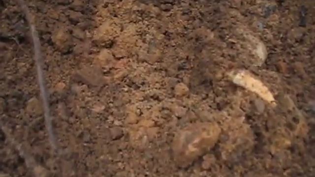 Промывка на мини шлюзе смотреть онлайн