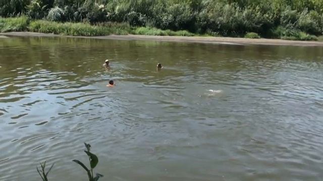 Купание в Жиздре (24.07.2010) смотреть онлайн