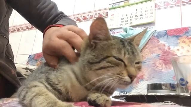 Masaj yaptıran boncuk смотреть онлайн