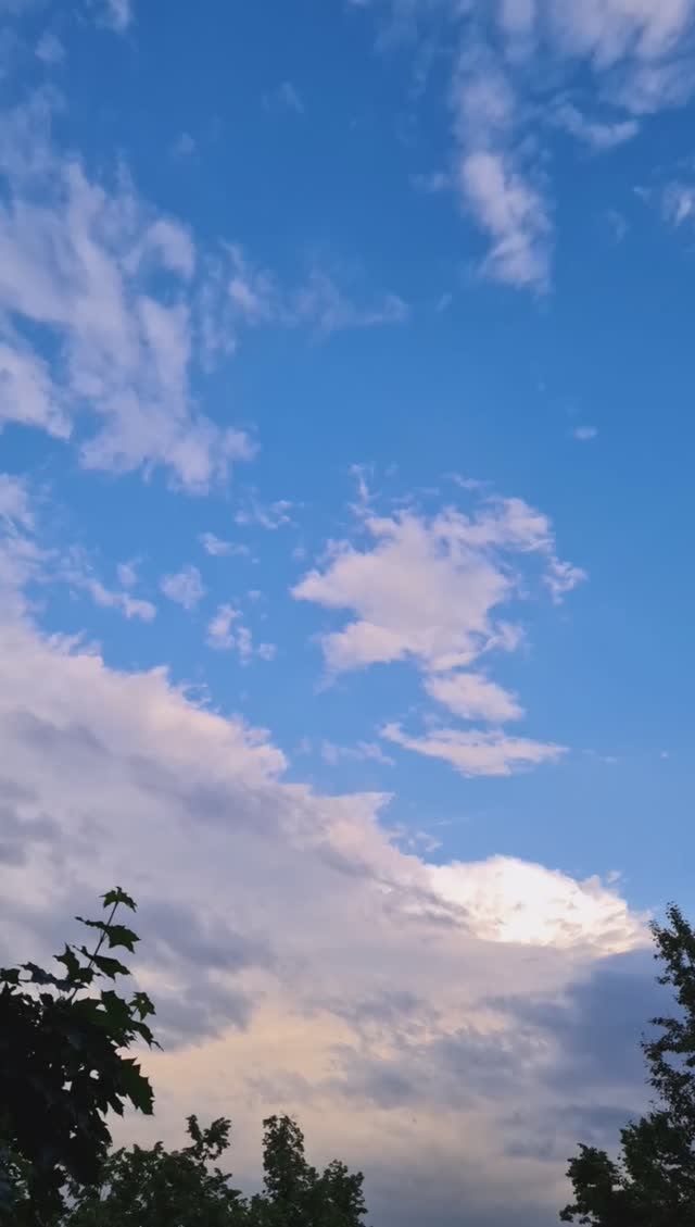 Облака / shorts