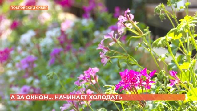 А за окном. 21 июня 2022 смотреть онлайн