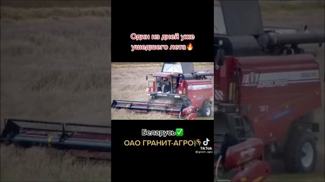 29 декабря 2021 г. смотреть онлайн