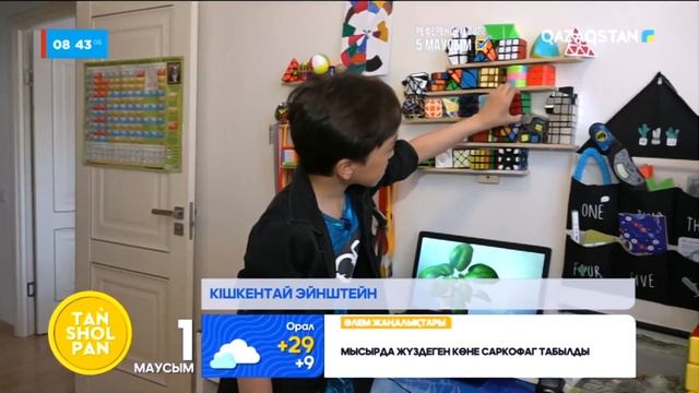 Кішкентай Эйнштейн смотреть онлайн