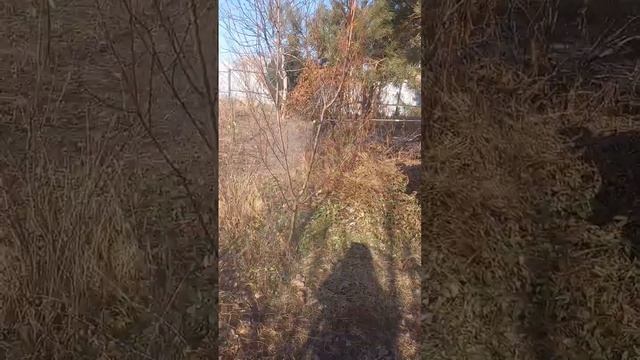 13 марта 2024 г. смотреть онлайн