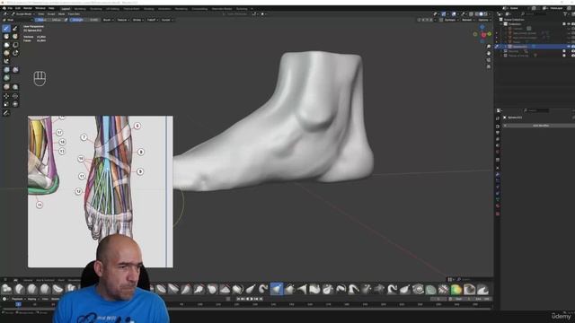 9 -Foot anatomy смотреть онлайн