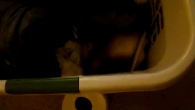 ferrit смотреть онлайн