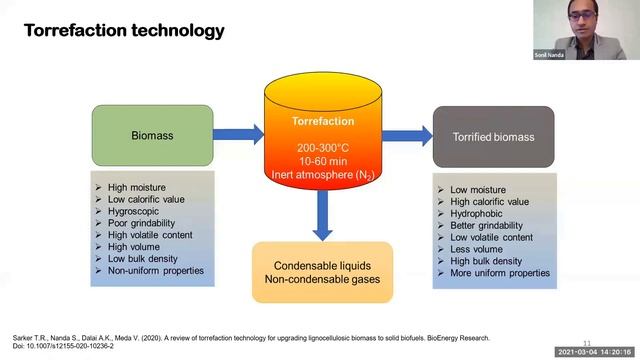 50. Green Carbon Webinar - Biochar: The green carbon for bioenergy, agronomy and carbon capture смотреть онлайн