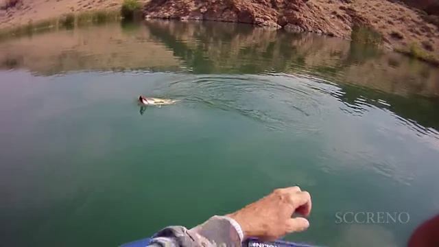 largemouth bass on jig & craw смотреть онлайн