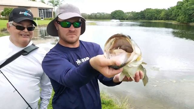 Stocking my POOL AQUARIUM with GIANT PET FISH! SHAMU RETURNS x2! смотреть онлайн