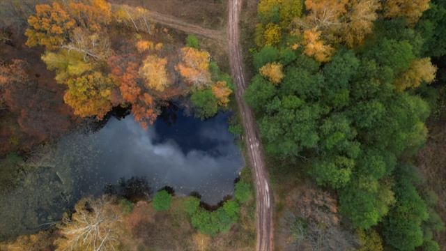 Ненашево Заокский район Тульской области 91 смотреть онлайн