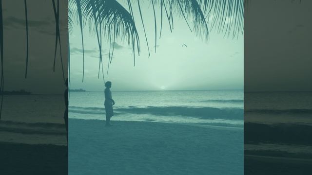 Атмосфера (Тропические пляжи) смотреть онлайн