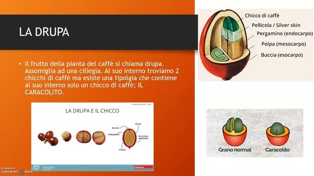 Caffè parte1 смотреть онлайн