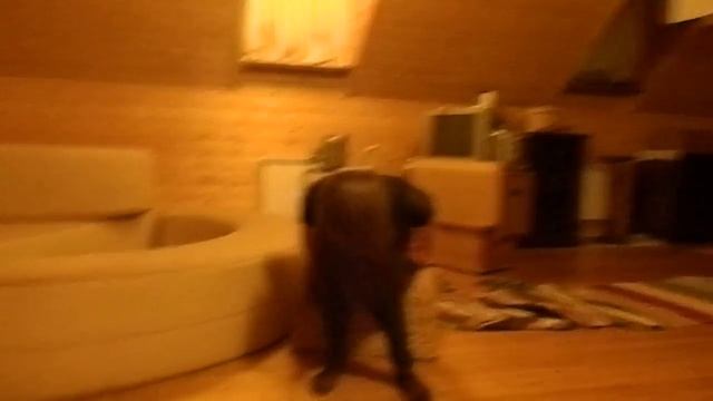 Топор !!! смотреть онлайн