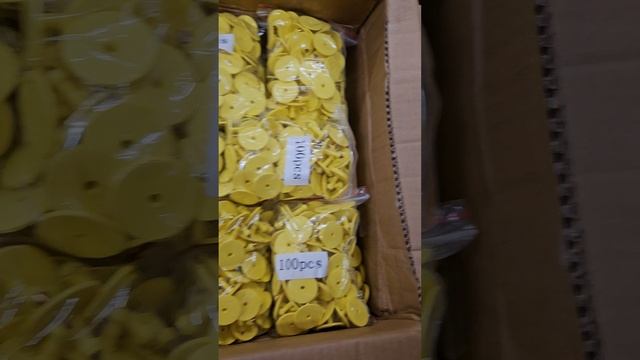 1000057890.mp4 смотреть онлайн