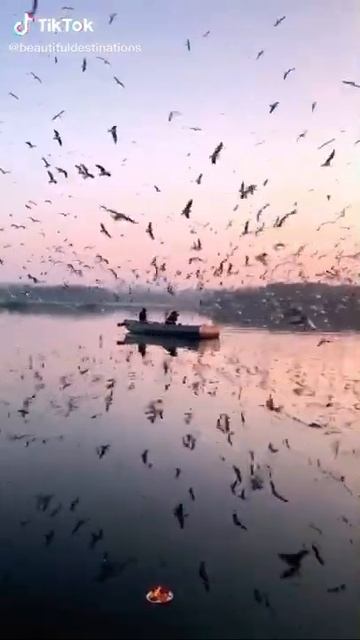 Yamuna Ghat rivers #shorts #Facts #travelworld #Youtubeshorts #Short #CultureBook смотреть онлайн