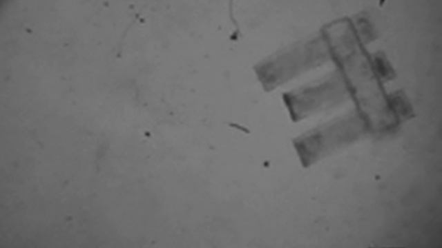 Движение микроскопического робота смотреть онлайн