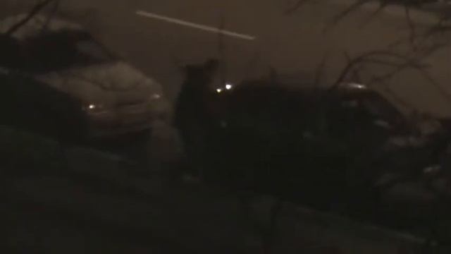 Неудачный угон. смотреть онлайн