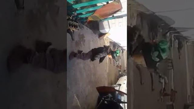 Супер танец смотреть онлайн