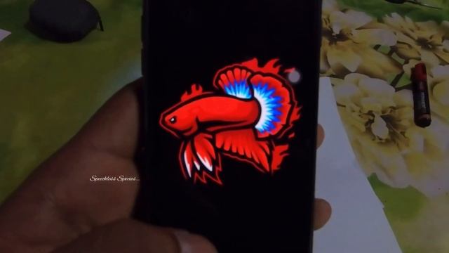 How to make DIY Betta Flaring stick | ഇനി വരയ്ക്കാൻ അറിയാത്തവർക്കും simple ആയി ഉണ്ടാക്കാം 🐠💞🎁 смотреть онлайн