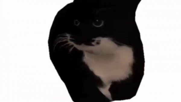 Maxwell The Cat Theme (Slowed 1 hour)