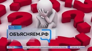 Объясняем.рф: ИП или самозанятость – что лучше?