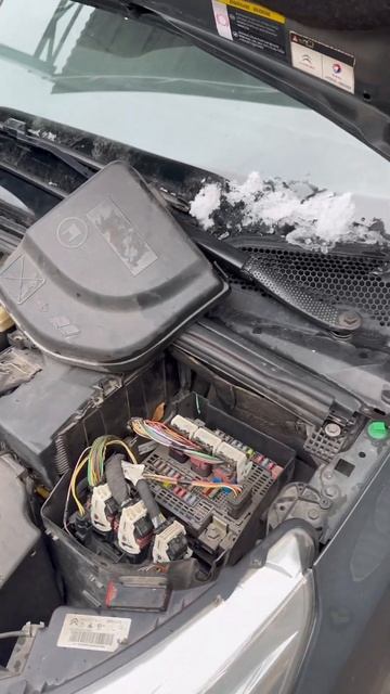Прошивка Citroen C4 в Нижнем Новгороде, перевод на евро 2 #shorts #евро2 #чиптюнинг смотреть онлайн