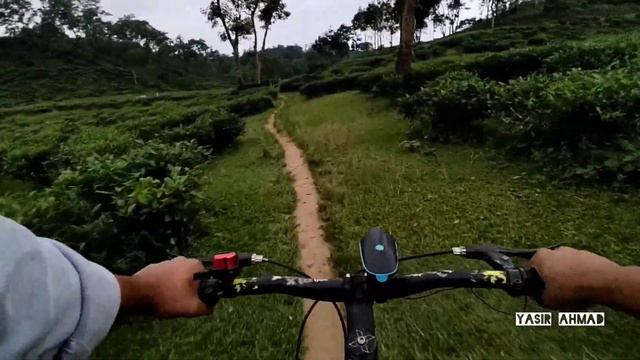 Doldoli Tea Garden|Evening|Sylhet|Yasir Ahmad смотреть онлайн