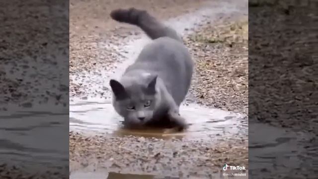 66a72a88c2e259f88de830793aa89011_1737736641949.mp4 смотреть онлайн