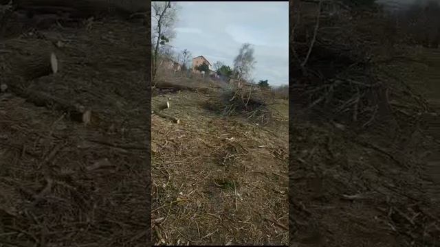 Подготовка к расширению сада смотреть онлайн