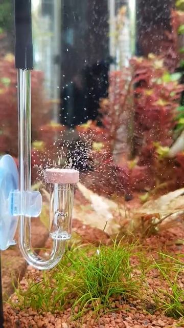 Difusor CO2 Neo S смотреть онлайн