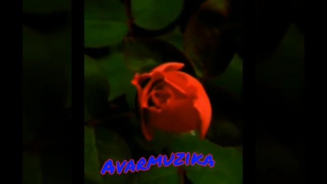 Рукият Магамедова смотреть онлайн