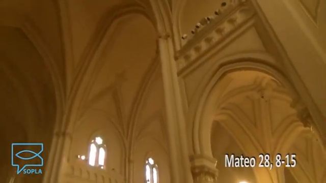 SOPLA Mateo 28, 8-15 (Pbro. Mariano Caracciolo) смотреть онлайн