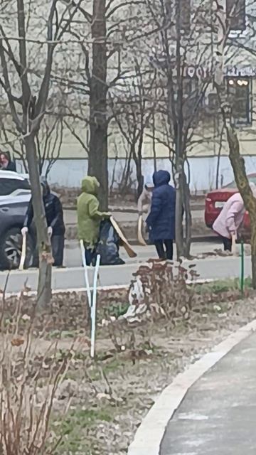 Вот так у нас чистят дорого от мусора