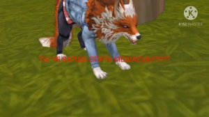 🔥БЕСЯЧИЕ ТИПЫ ИГРОКОВ В ВИЛД КРАФТ 🙃🔥