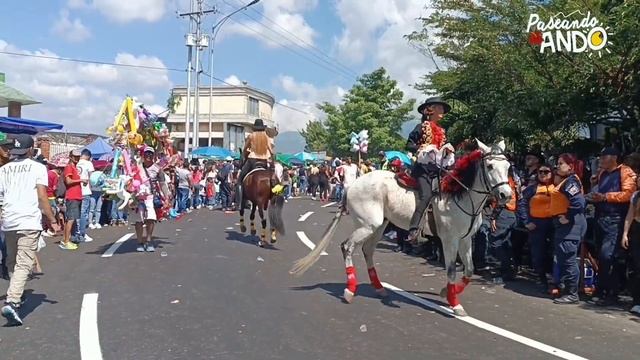 Paseando Ando Táchira.Prog.34.Seg2. Tradicional Desfile Fiss 2024.Edición 59 Feria de San Sebastián смотреть онлайн