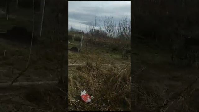 1 марта 2024 г. смотреть онлайн