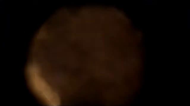 Ternyata seperti ini lah gambar dari hasil sperma yang di lihat dari mikroskop 🔬 смотреть онлайн