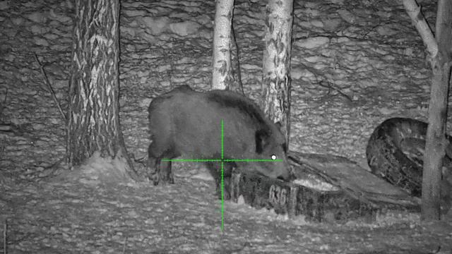 Пример работы прицела ночного вид. Sytong HT-70LRF (850) смотреть онлайн