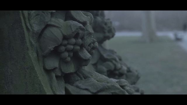 vignette смотреть онлайн