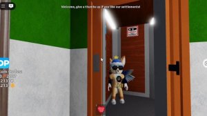 Roblox Электрический Лифт ZREMB-(1972 Г.в) 320/kg V=0,71m/s