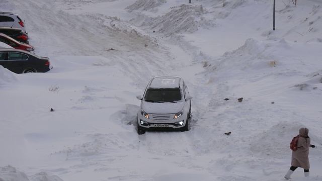 Очень много снега, январь 2025 года