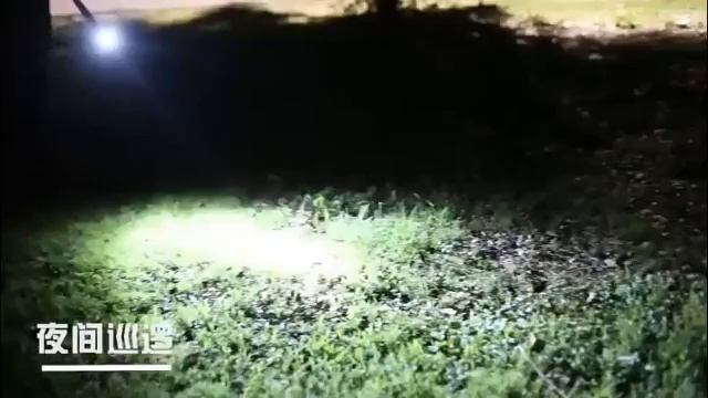 3,800 Lumens Baton aluminium alloy Baseball Bat with Super Bright LED Flashlight смотреть онлайн
