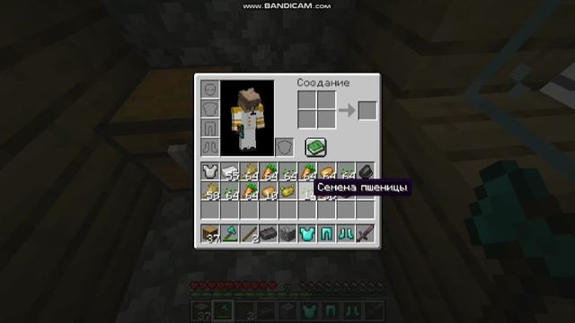 у нас в деревне номер 13 опять выпал снег в майнкрафте | Алекс майнкрафт смотреть онлайн