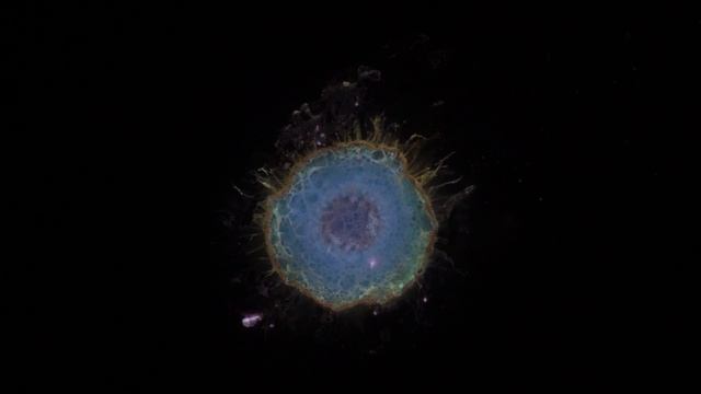 Laser Ablation Tomography 2.0 - Ablation of aloe root under drought смотреть онлайн