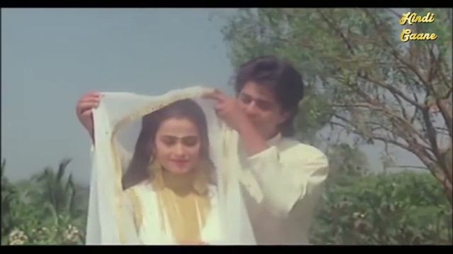 Mai Tera Raja Tu Meri Rani | Nitin Mukesh | Sadhna Sargam | Hasina Aur Nagina | Hindi Gaane