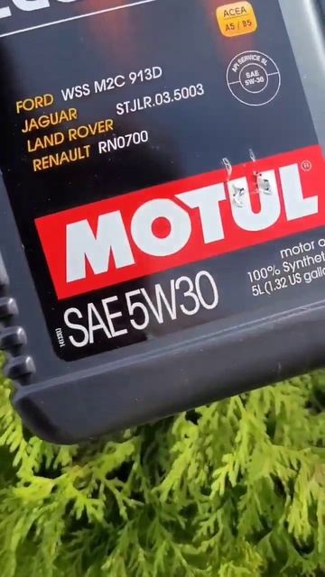 Motul 8100 Eco-nergy 5w30 5L смотреть онлайн